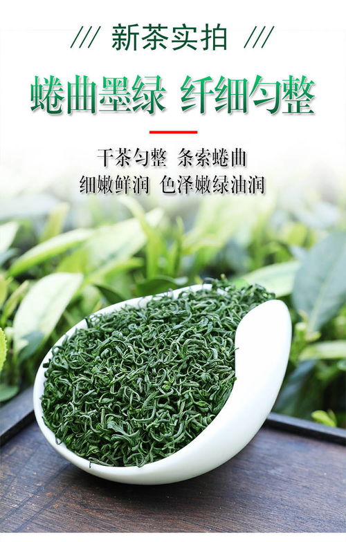 日照充足，高山云霧間品味春意 2020新茶炒青茶品鑒